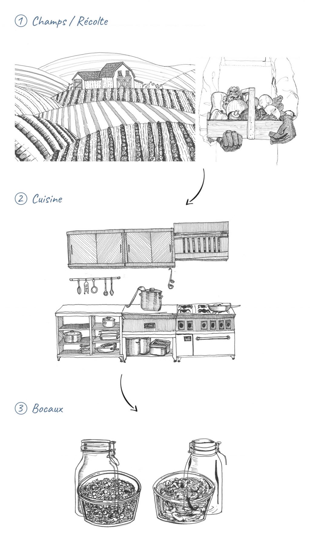 schema