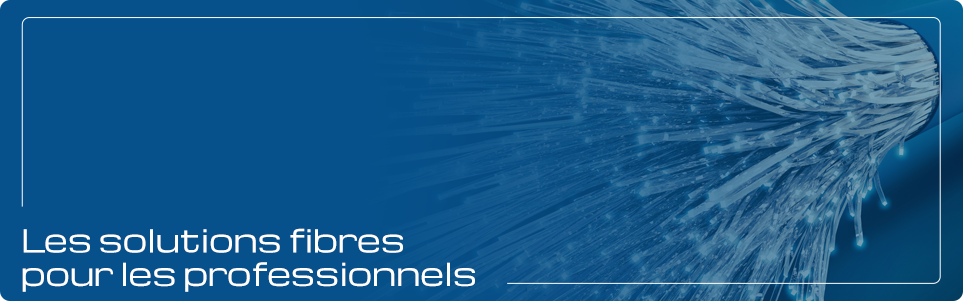 Fibre optique